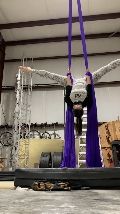 Dragonfly Aerial & Circus Arts Studio Picture 3