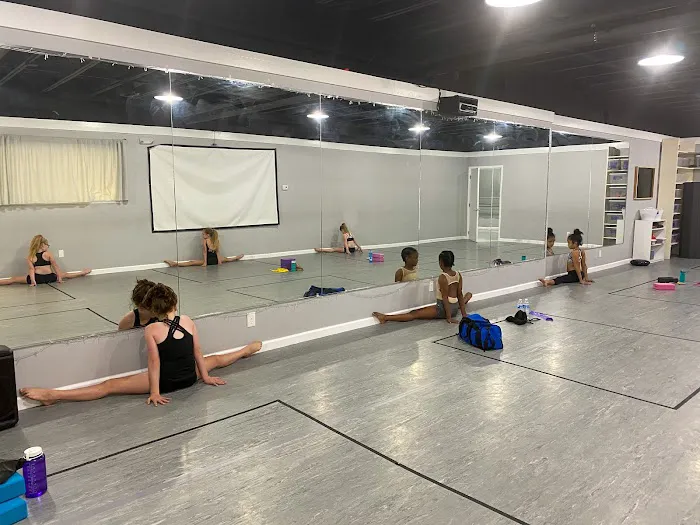 Fusion Dance Project Picture 3