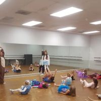 Oak Ridge Academy of Dance ico