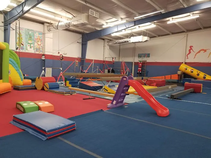 TumbleBear Gymnastics Picture 1