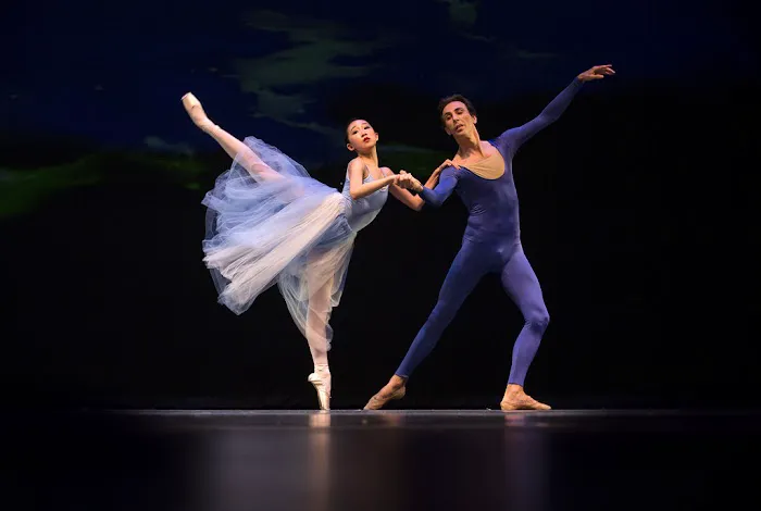 Atlanta Professional Dance Academy Picture 1