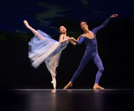 Atlanta Professional Dance Academy
