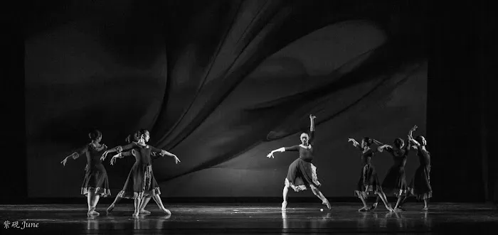Atlanta Professional Dance Academy Picture 2