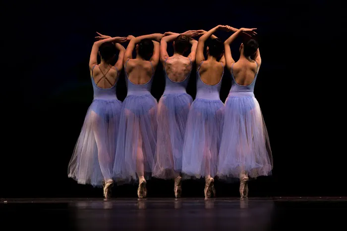 Atlanta Professional Dance Academy Picture 6