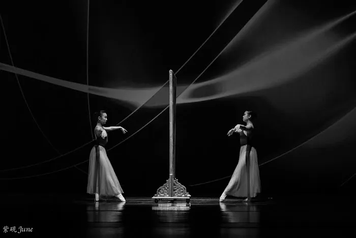 Atlanta Professional Dance Academy Picture 9
