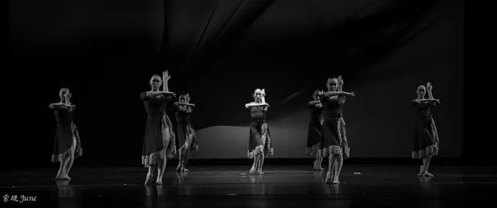 Atlanta Professional Dance Academy Picture 10