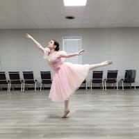 Dominy School of the Performing Arts, Inc. ico
