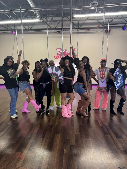Fit Candy Studio: Pole Dance, Stretch, Line Dancing, Aerial Hoop & Fun Fitness for Women 18+ Picture 8