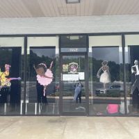 Conservatory Of Dance & Fine Arts ico