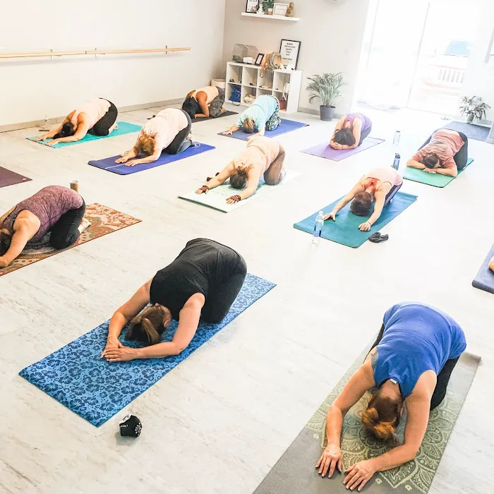 Moxie Yoga Barre Pilates Picture 9