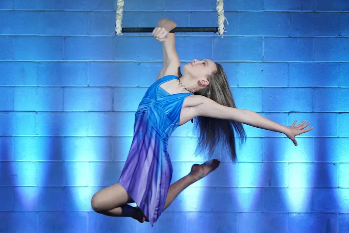 Akrosphere Aerial & Circus Arts Picture 3