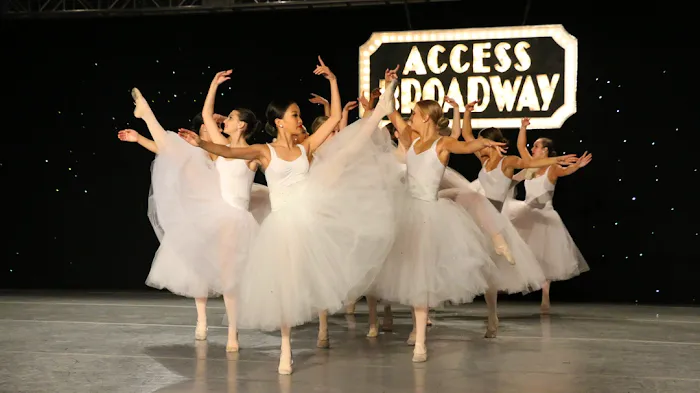 RISPA Performing Arts School Picture 1