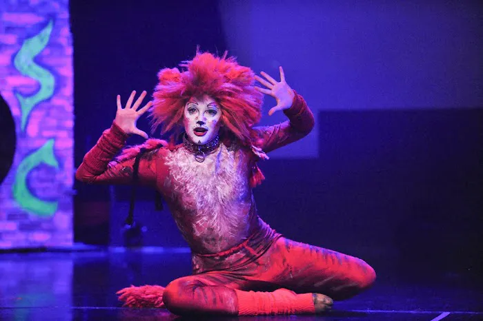 RISPA Performing Arts School Picture 6