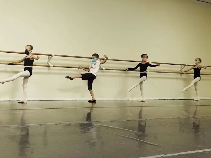 Metropolitan Ballet Theatre Picture 2