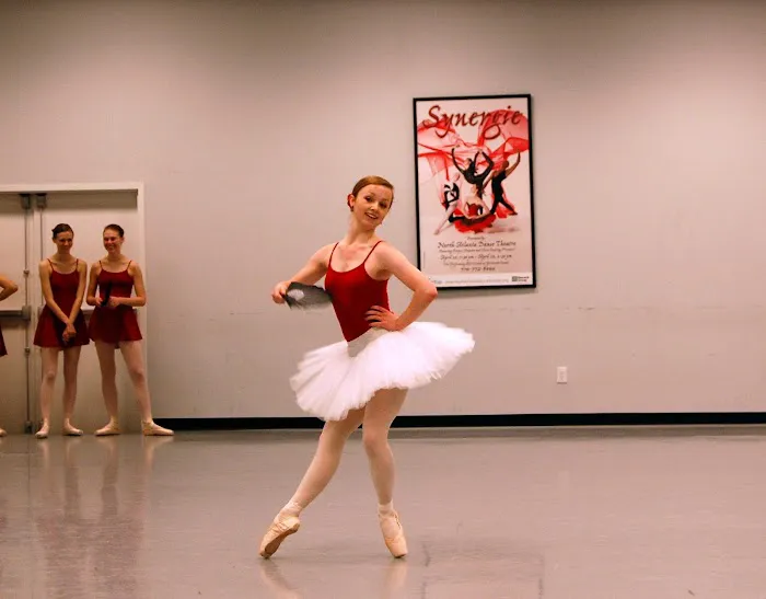 North Atlanta Dance Academy Picture 9