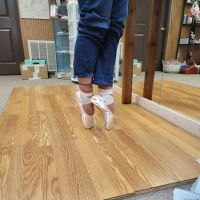 Sue's Dance Boutique ico