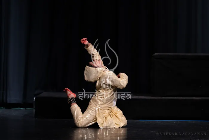 Shrishti School of Dance Picture 3