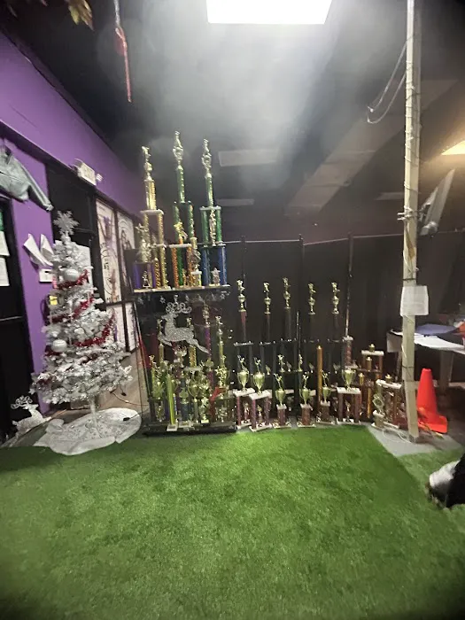 Purple Diamonds Elite Picture 1