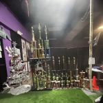 Purple Diamonds Elite