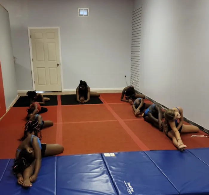 TDF Studio & Gym Picture 5