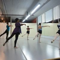 DiBlasi School of Ballet ico