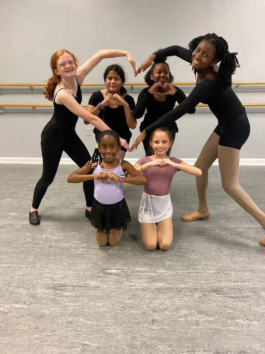 Dance Academy Picture 2