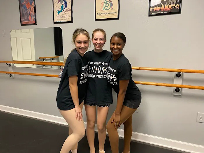Dance Academy Picture 6
