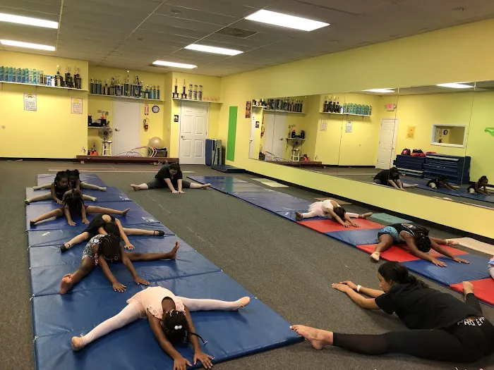 Tumble 'N Dance Picture 6