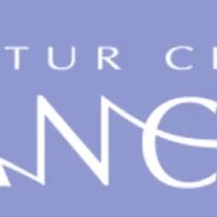 Decatur City Dance ico