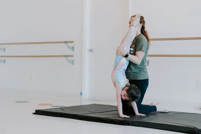 Neighborhood Ballet Picture 2