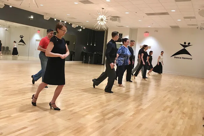 Dance Harmony Picture 7
