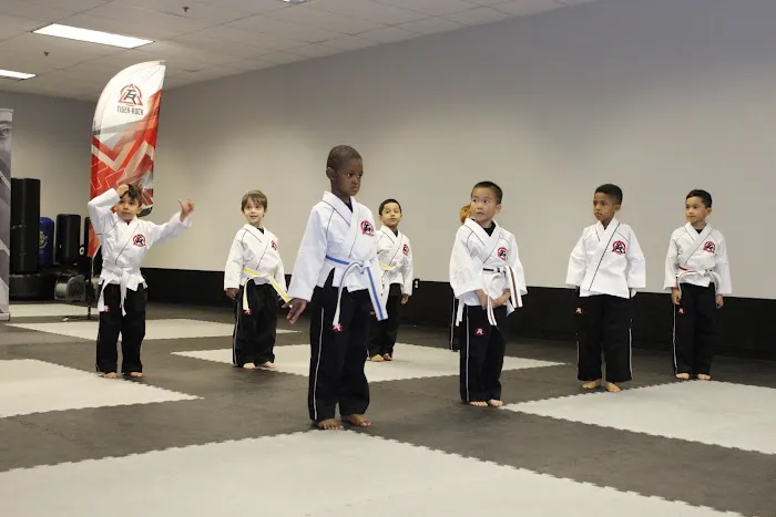 Tiger Rock Martial Arts of Lawrenceville Picture 2