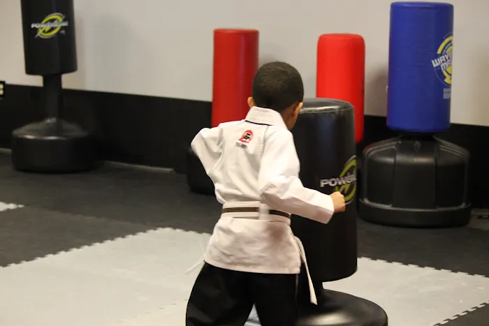Tiger Rock Martial Arts of Lawrenceville Picture 6
