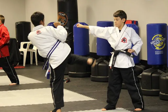 Tiger Rock Martial Arts of Lawrenceville Picture 7