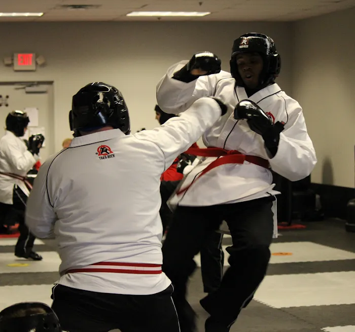 Tiger Rock Martial Arts of Lawrenceville Picture 10