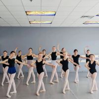 Academy of Ballet/Academy Performing Ensemble ico