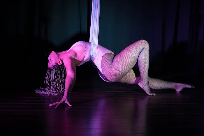 PoleLaTeaz: Pole Dance, Aerial Hoop, Aerial Silks Fitness Studio Picture 4