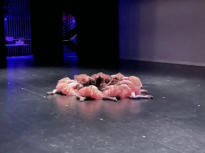 Dunwoody Dance Studio Picture 4