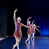 Callanwolde School of Dance ico