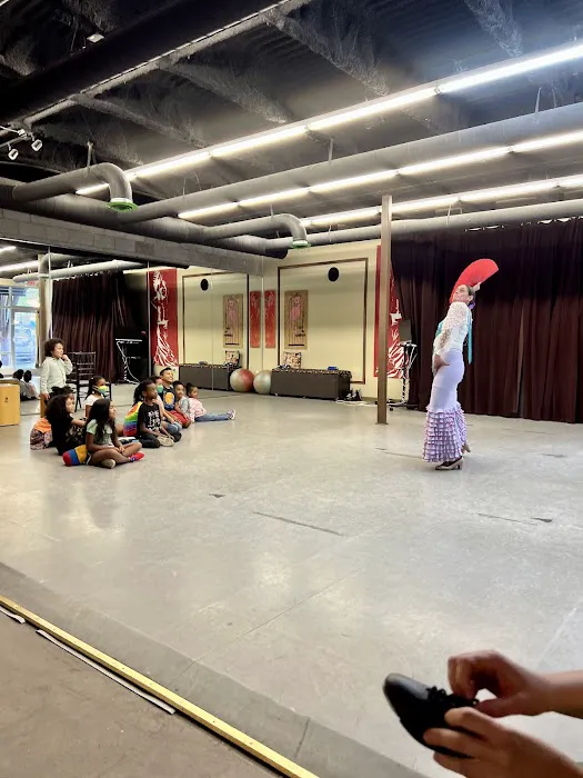 Calo Gitano Flamenco Academy Picture 3