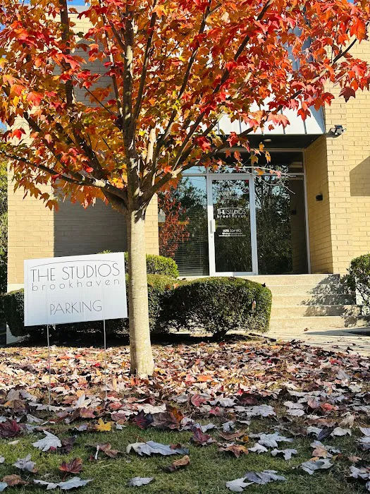 The Studios Brookhaven Picture 9