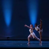 Namari Dance Center ico