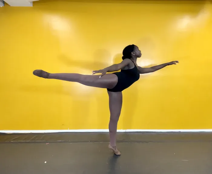 Namari Dance Center Picture 2