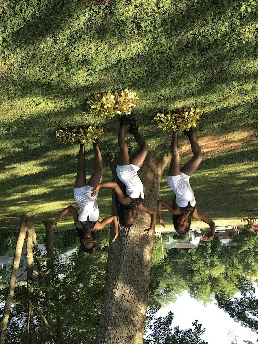 Sashay Dance Team Picture 8