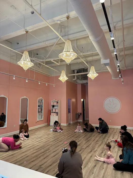 Tutu School Brookhaven Picture 3