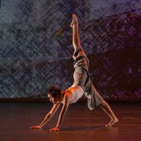 Dance Canvas Inc ico