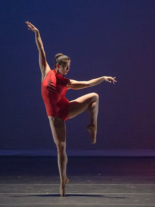 Dance Canvas Inc Picture 6