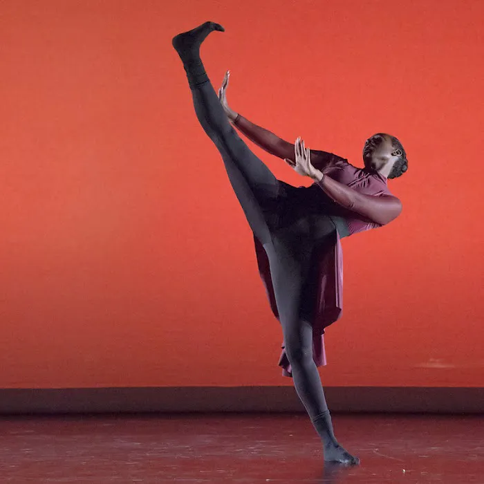 Dance Canvas Inc Picture 4