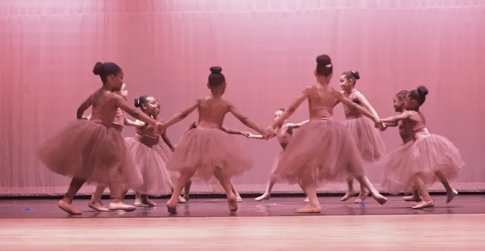 Skydance Academy Picture 2