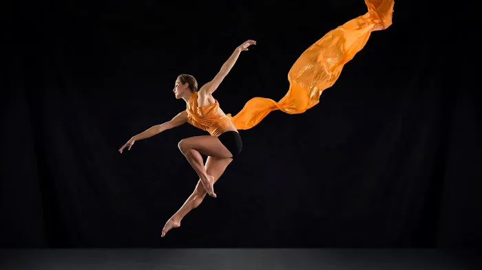 Georgia Academy of Dance & the Performing Arts Picture 1